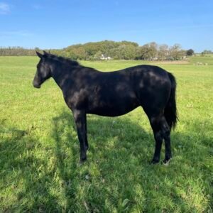 Call Your Neighbours